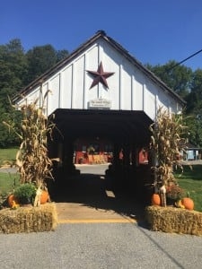 Fall-Season-2-e1446490246743-225x300