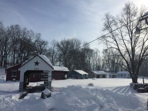 Snow-Storm-2016-300x225