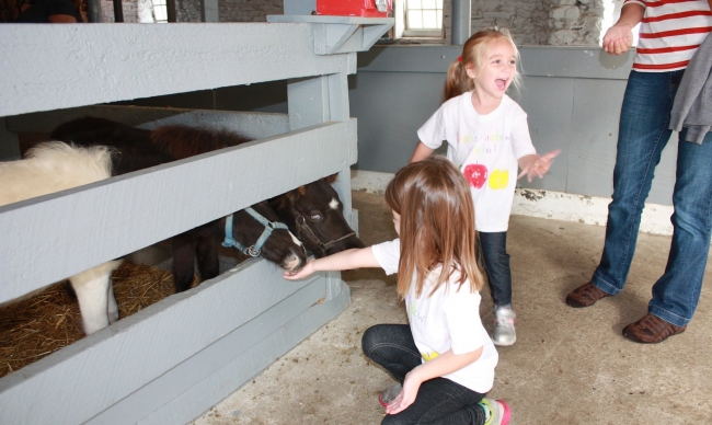 Kids petting ponies Kids petting ponies