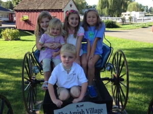 Young kids on Amish buggy Young kids on Amish buggy