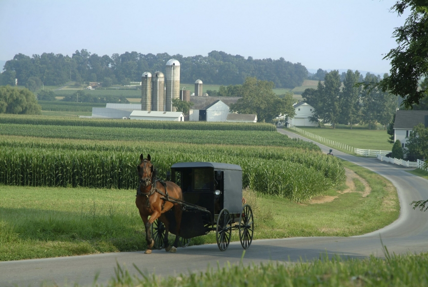 Amish buggy on road Amish buggy on road