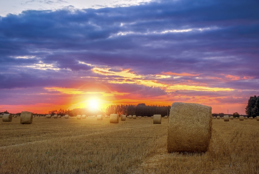 Sunset over a field of hay Sunset over a field of hay