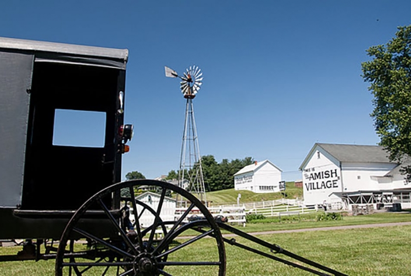 Amish buggy and property Amish buggy and property