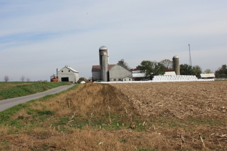 Amish Farm